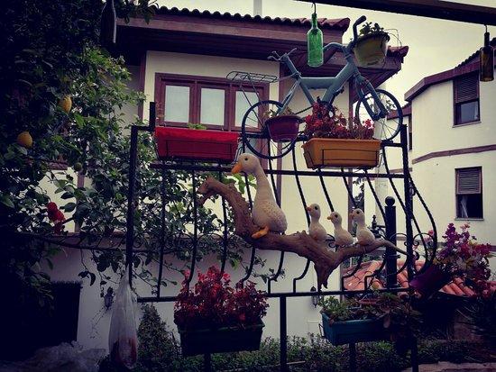 Velespit Cafe